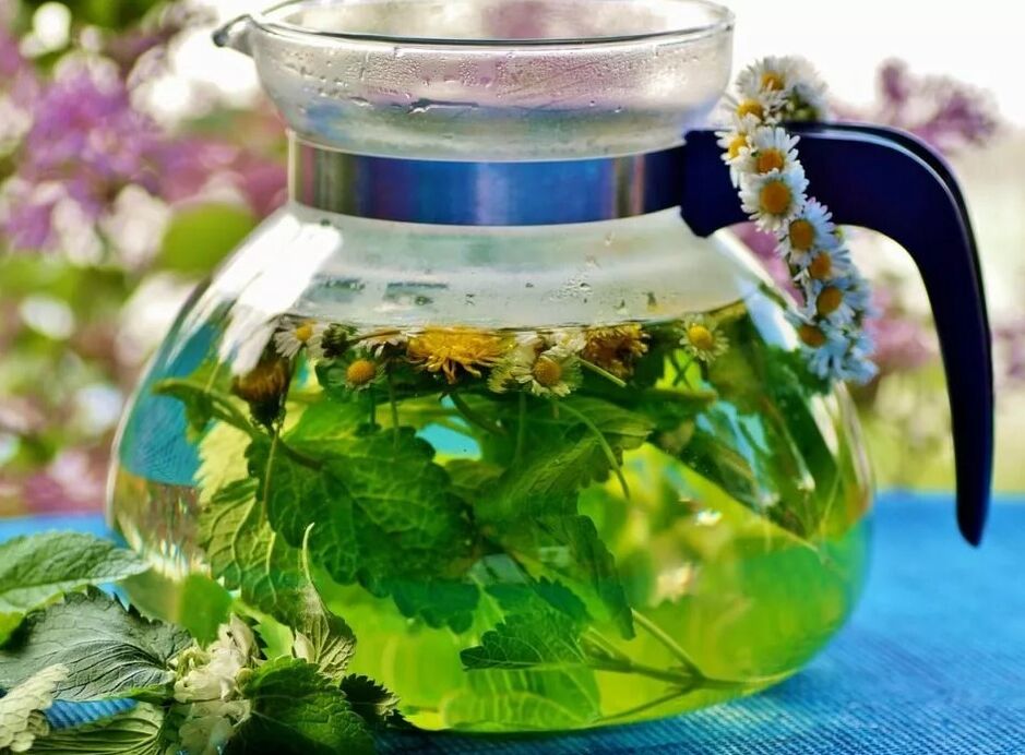 Infusión de la colección de hierbas de las venas varicosas