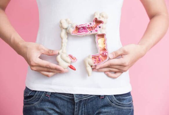 El funcionamiento del intestino
